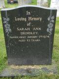 image of grave number 271119